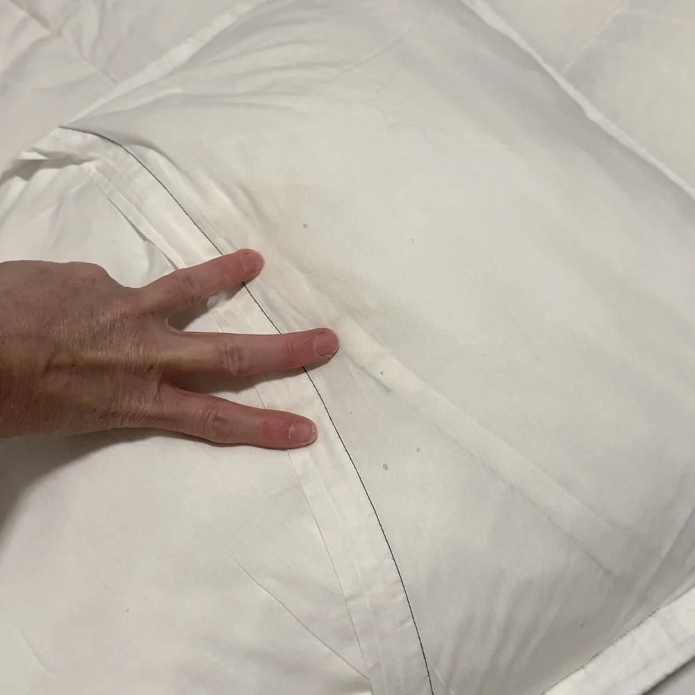 Crate&Barrel Embroidered Contrast Weave Standard Cotton Sham Pillow Case